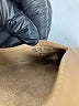 Naturalizer Tan Heels Size 10 - photo 4
