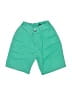 Nautica Solid Green Board Shorts 18-24 MO / 24 MO - photo 1