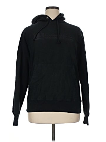 Champion Pullover Hoodie (view 1)