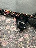 Art Class Floral Black Dress Size 4 - 5 - photo 3