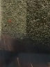 Xirena 100% Cotton Stripes Blue Long Sleeve Button-Down Shirt Size L - photo 7