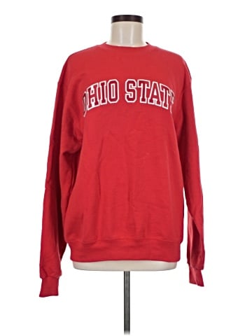 Champion Sweatshirt (view 1)