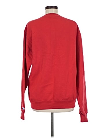 Champion Sweatshirt (view 2)