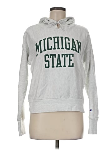 Champion Sweatshirt (view 1)
