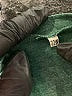 Unbranded Green Long Sleeve Top Size 22 - photo 7