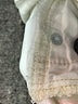 J.Crew Ivory Jeans Size 27 waist - photo 8
