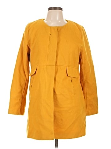 Witchery Coat (view 1)