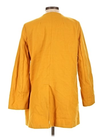 Witchery Coat (view 2)