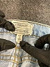 Current/Elliott Hearts Blue Jeans Size 28 waist - photo 7