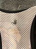 Body Glove Black Active Tank Size L (estimated) - photo 7