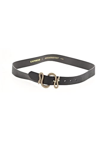 Express Belt (view 1)