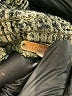 Free People 100% Cotton Plaid Green Cargo Pants Size S - photo 7