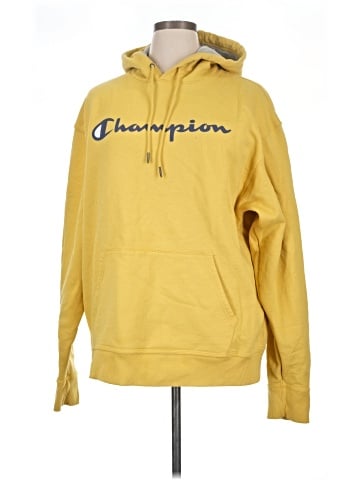 Champion Pullover Hoodie (view 1)