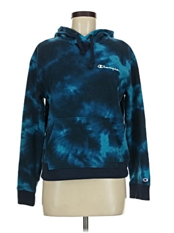 Champion Pullover Hoodie (view 1)