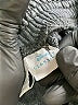 Zara Graphic Black Athletic Shorts Size 7 - photo 5