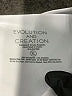 Evolution and Creation White Active Pants Size XL - photo 7