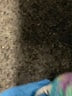 Jessica Simpson Tweed Purple Pullover Sweater Size M - photo 8