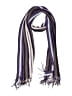 Unbranded Stripes Purple Scarf One size - photo 1