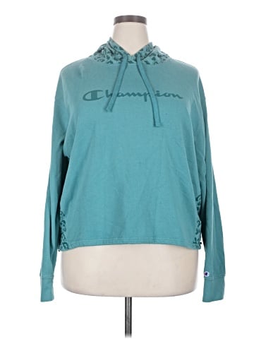 Champion Pullover Hoodie (view 1)
