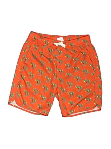 Fair Harbor Board Shorts (view 1)