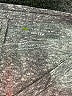 Tek Gear Gray Active T-Shirt Size M - photo 7