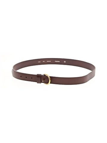 Fossil Belt (view 1)