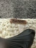 Free People Ivory Pullover Sweater Size S - photo 7