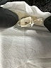 Elan Ivory Cocktail Dress Size S - photo 7