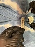Cato Tie-dye Blue Poncho Size L - photo 7