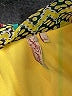 Red Camel 100% Polyester Print Orange Casual Dress Size L - photo 7