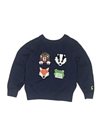 Joules Pullover Sweater (view 1)