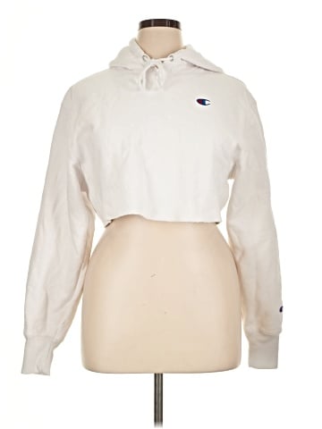Champion Sweatshirt (view 1)
