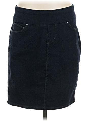 Jag Jeans Denim Skirt (view 1)