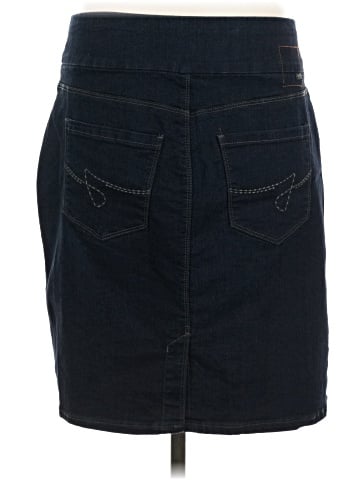 Jag Jeans Denim Skirt (view 2)