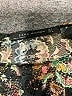 Zara Floral Black Cocktail Dress Size S - photo 7