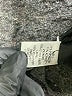 Apt. 9 Tweed Gray Jacket Size XL - photo 7