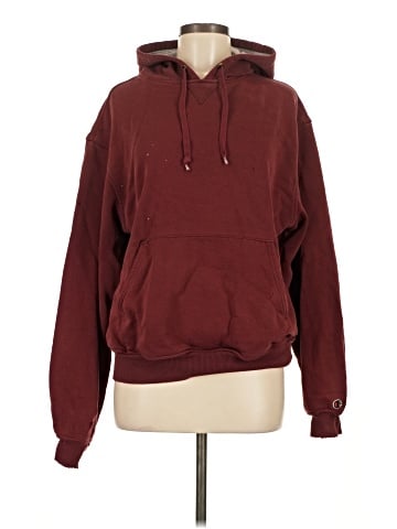 Champion Pullover Hoodie (view 1)