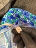 Soft Surroundings Print Blue Active Pants Size 1X - photo 8