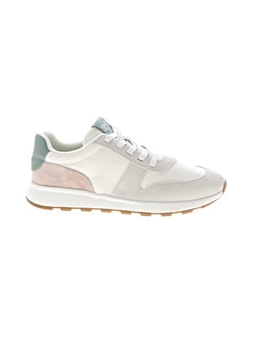 TOMS Sneakers (view 1)