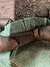 Firehouse Solid Green Shorts Size XS (kids) - photo 4