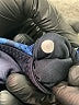 Lululemon Athletica Blue Active Pants Size 6 - photo 8