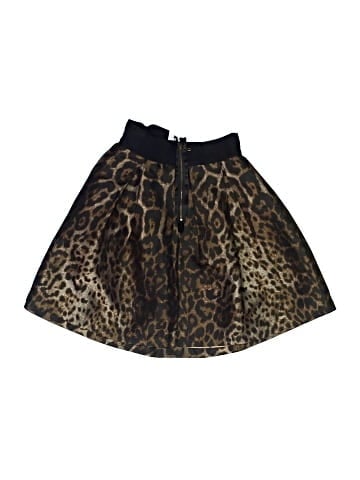 Lanvin Skirt (view 2)