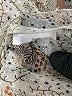 Molly Bracken Ivory Long Sleeve Blouse Size L - photo 8