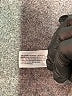 Isabel by Ingrid + Isabel Solid Black Active Pants Size M - photo 8