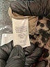 CAbi Animal Print Gray Blazer Size 8 - photo 7