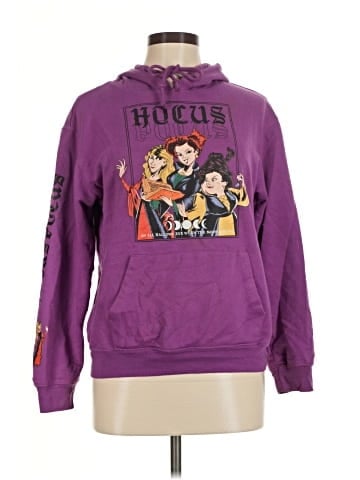 Disney Pullover Hoodie (view 1)