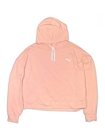 Puma Pullover Hoodie (view 1)