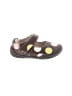 Pediped Polka Dots Brown Flats Size EU 19 (baby) - photo 1