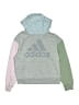 Adidas Silver Sweatshirt Size 14 - photo 1
