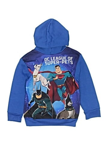 DC Comics Pullover Hoodie (view 1)